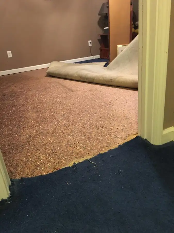 Carpet pad removal revealing water damage during Drying & Dehumidification in Bensalem